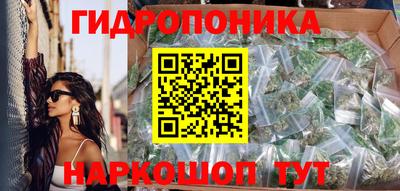гидра Дмитров