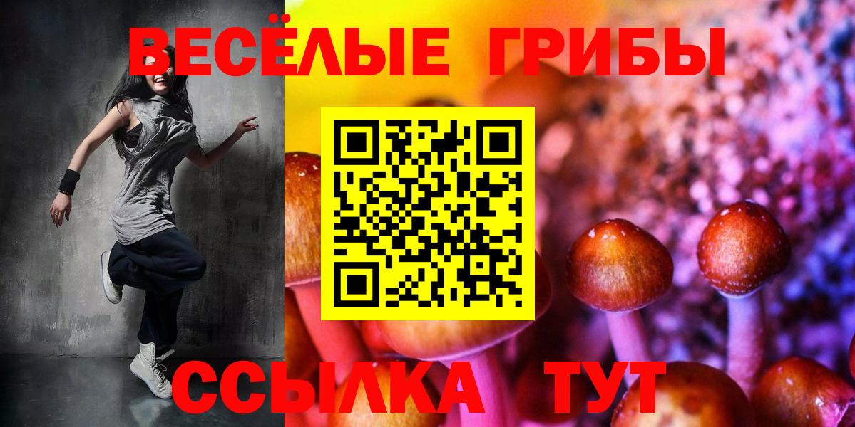 Наро-Фоминск  купить закладку  Вход с VPN  Галлюциногенные грибы прущие грибы 